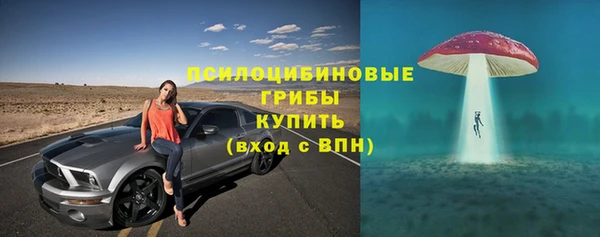 прущий лед Лиски