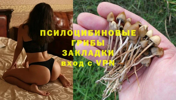 крисы Лихославль