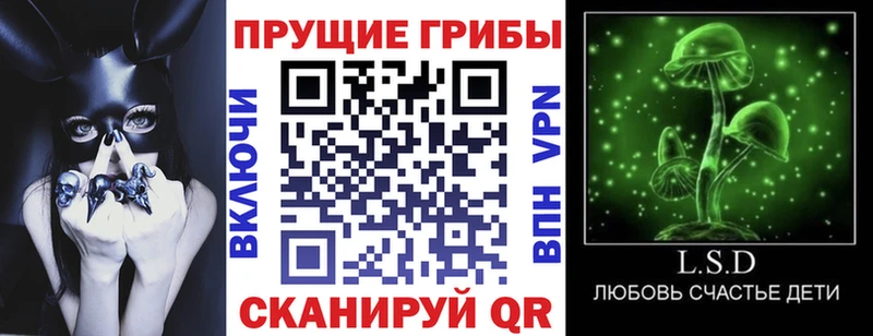 Псилоцибиновые грибы Psilocybine cubensis  где купить   Гаврилов Посад 